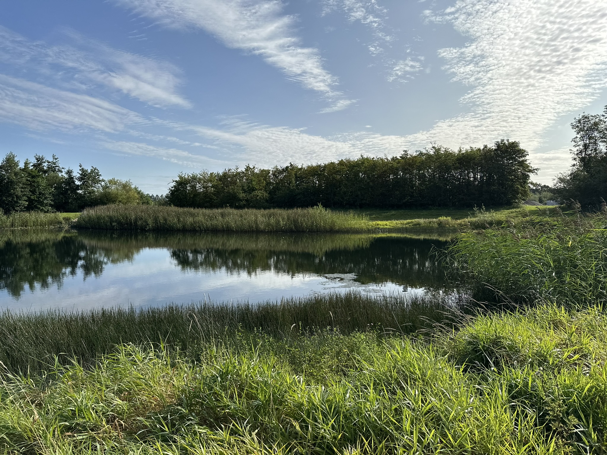 Om biodiversitet - Grus